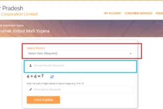 Bijli bill mafi yojana 2025 Check Eligibility